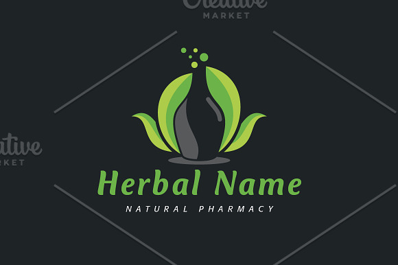 Herbal Potion Logo in Logo Templates - product preview 1