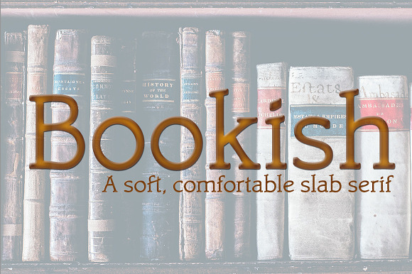 Bookish, a comfortable slab serif in Slab Serif Fonts - product preview 1