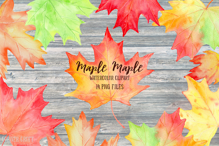 Watercolor Maple Illustration in Illustrations - product preview 8