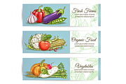 Vegetables banners. Sketch style