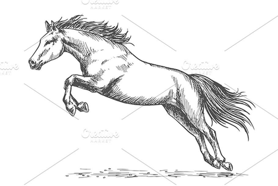 Wild mustang running in Graphics - product preview 8
