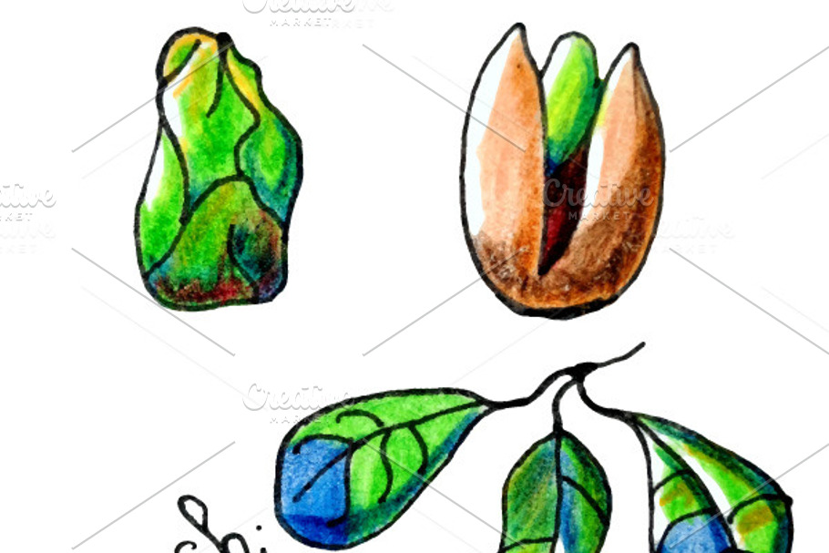 Vector isolated pistachio elements in Graphics - product preview 8