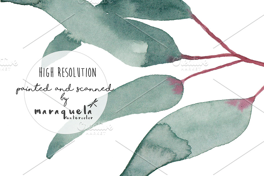 Elegant Watercolor Eucalyptus Leaves in Illustrations - product preview 8