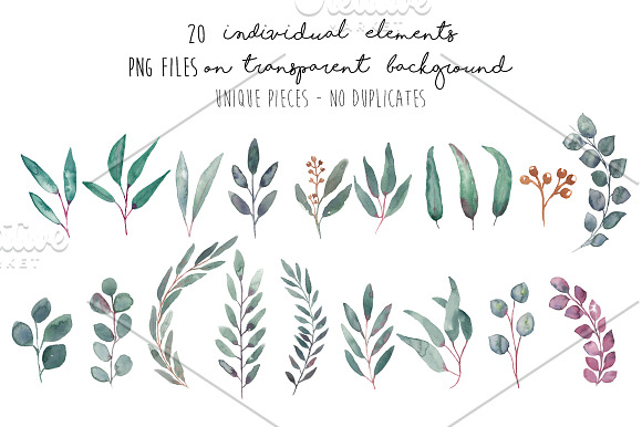 Elegant Watercolor Eucalyptus Leaves in Illustrations - product preview 1