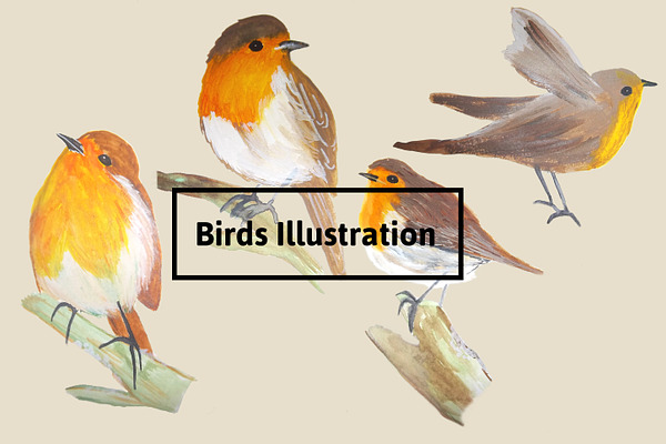 Watercolor Birds clipart