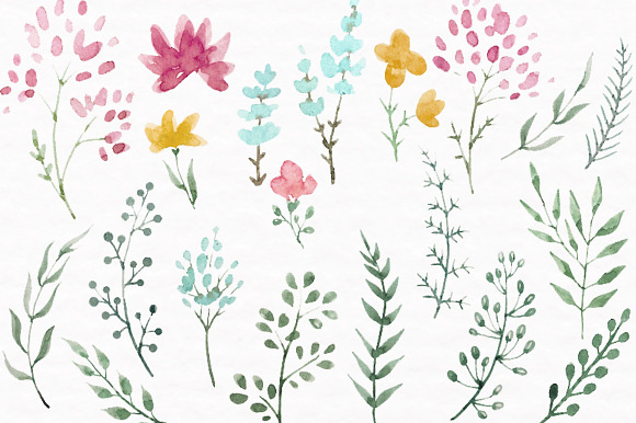 Watercolor floral set +Brushes in Photoshop Brushes - product preview 4