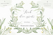 Olive sprouts wreaths branch clipart