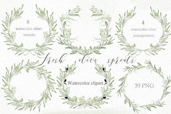 Olive sprouts wreaths branch clipart in Illustrations - product preview 2