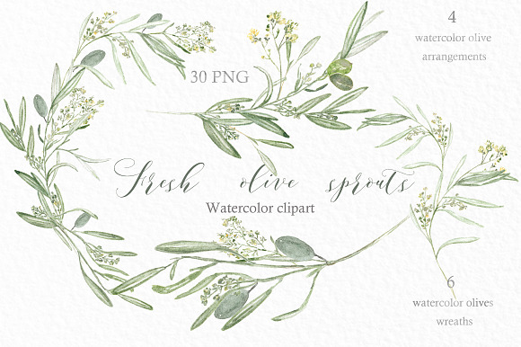 Olive sprouts wreaths branch clipart in Illustrations - product preview 3