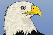 Amercian Eagle