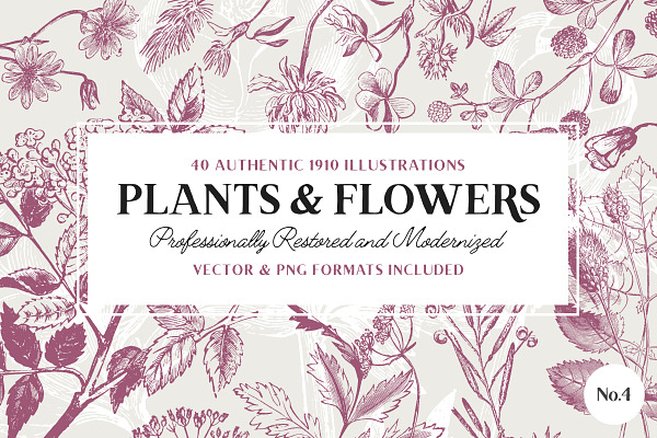 40 Flower & Plant Illustrations No.4