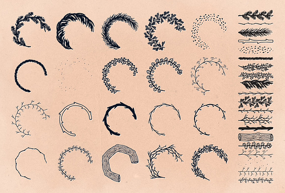 Twig & Pine Illustrator Brushes in Photoshop Brushes - product preview 1