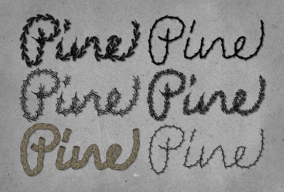Twig & Pine Illustrator Brushes in Photoshop Brushes - product preview 3