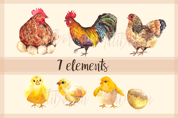 Rooster Family - Watercolor Clip Art in Objects - product preview 1