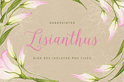 Lisianthus Flowers 