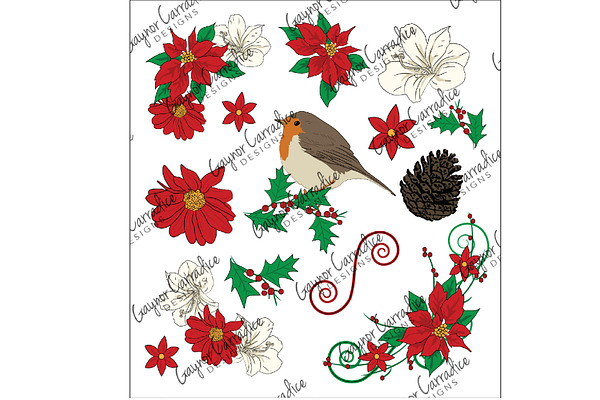 Christmas flowers & birds vector set