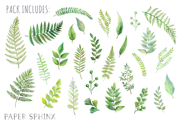Watercolor Fern Leaf Pack in Illustrations - product preview 1