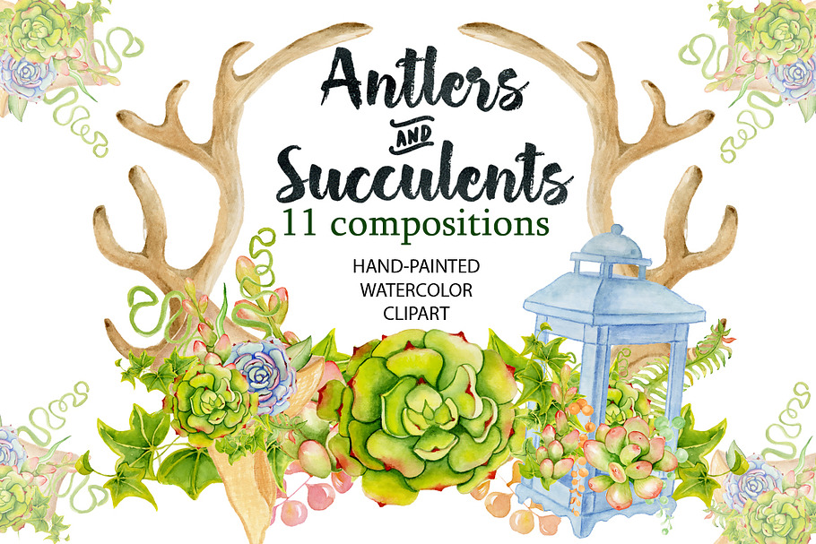 Antlers and succulents