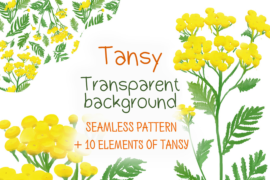 Tansy, seamless pattern