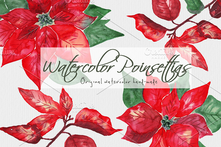 Poinsettias Flowers Christmas Set in Illustrations - product preview 8
