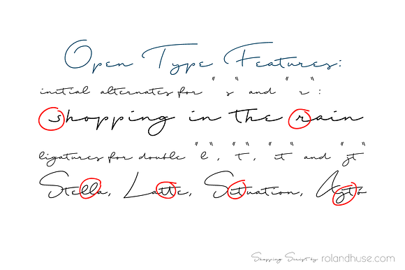 Shopping Script in Script Fonts - product preview 2
