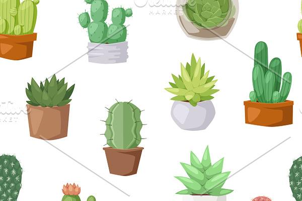 Cactus seamless pattern vector