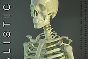 Realistic Skeleton
