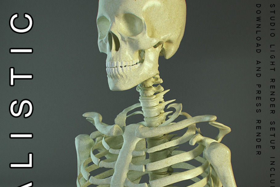 Realistic Skeleton in People - product preview 8