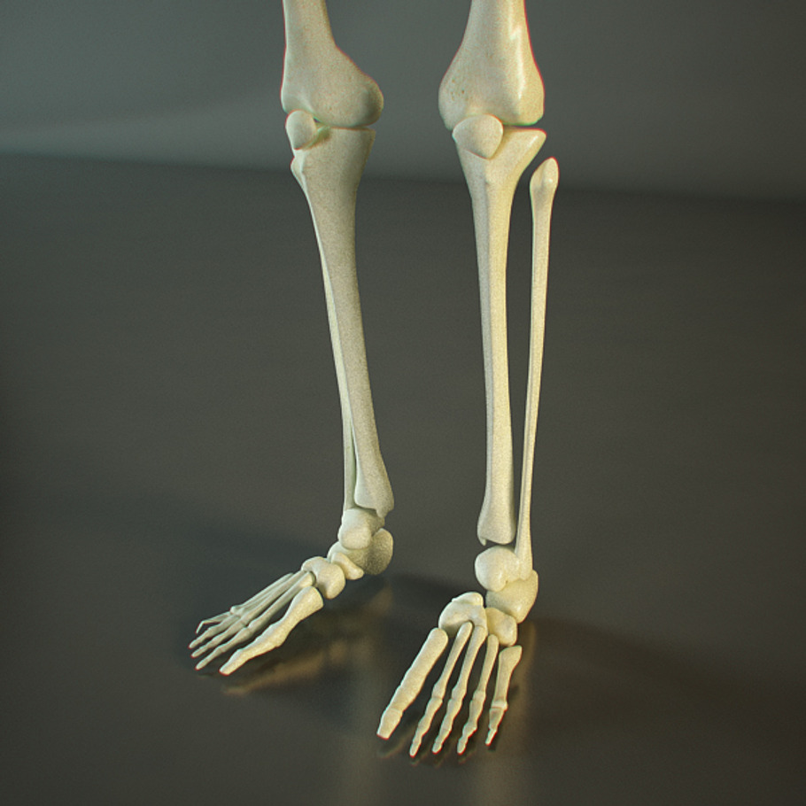 Realistic Skeleton in People - product preview 3