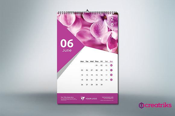 Wall Calendar 2017 - v009 in Presentation Templates - product preview 2
