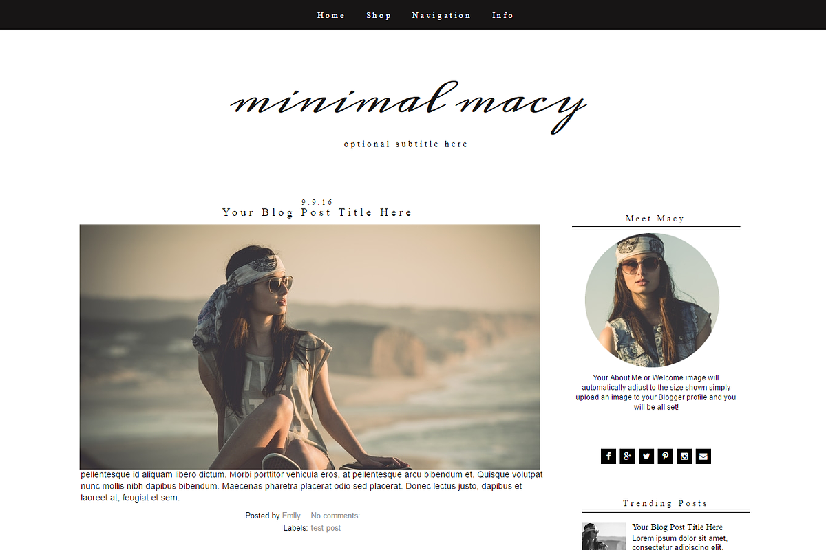 Blogger Template - Black & White in Templates - product preview 8