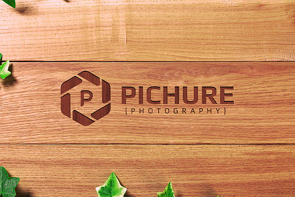 Pichure Logo Template in Logo Templates - product preview 1