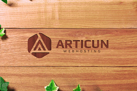 Articun Logo Template in Logo Templates - product preview 1
