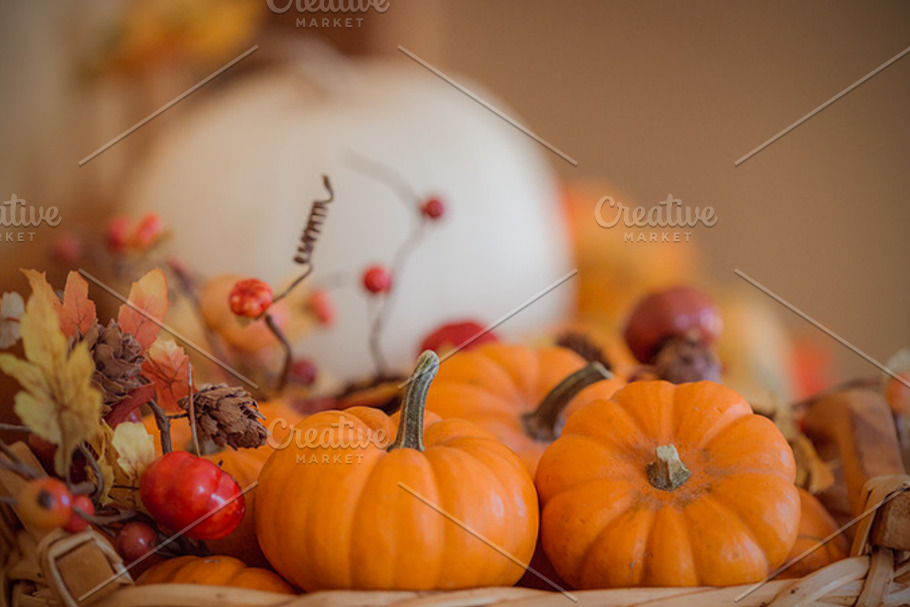 Autumn Colors | High-Quality Nature Stock Photos ~ Creative Market