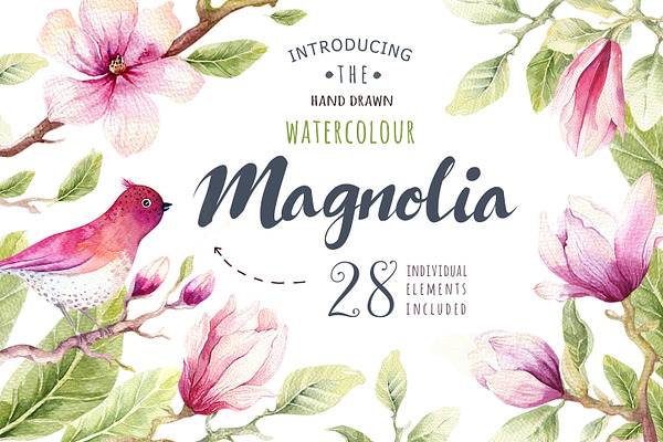Watercolour magnolia and birds