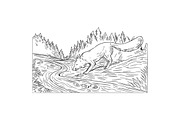 Fox Drinking River Woods 