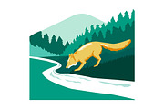 Fox Drinking River Creek Woods 