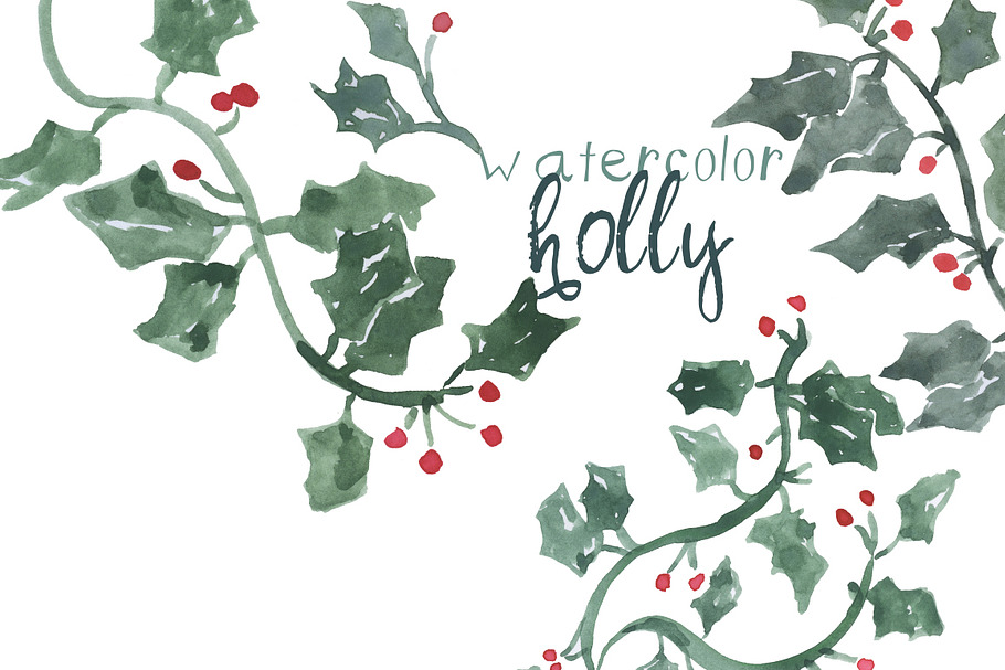 Watercolor Holly Leaves in Illustrations - product preview 8
