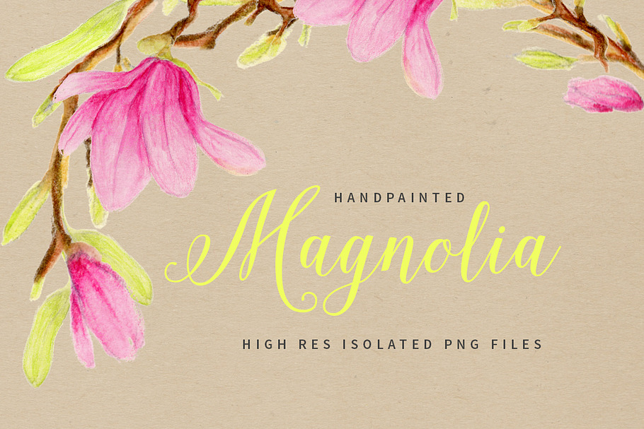 Magnolia Watercolor Flowers