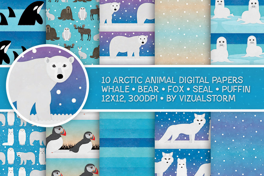 Arctic Animal Patterns in Patterns - product preview 8