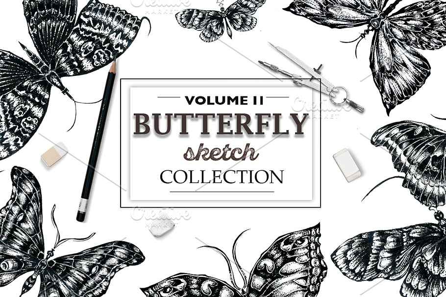 Butterfly sketch collection in Illustrations - product preview 8