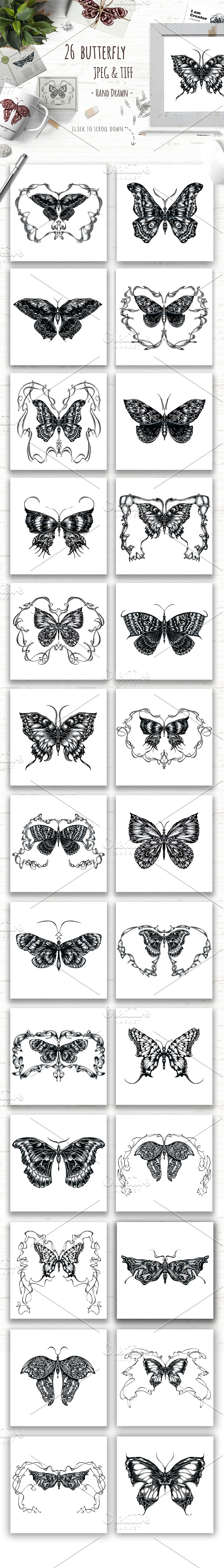 Butterfly sketch collection in Illustrations - product preview 1