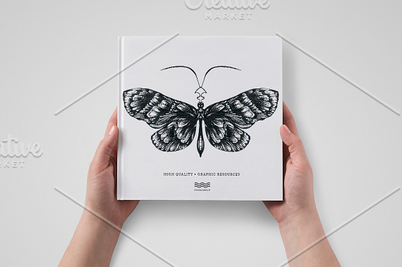 Butterfly sketch collection in Illustrations - product preview 2