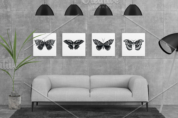 Butterfly sketch collection in Illustrations - product preview 5
