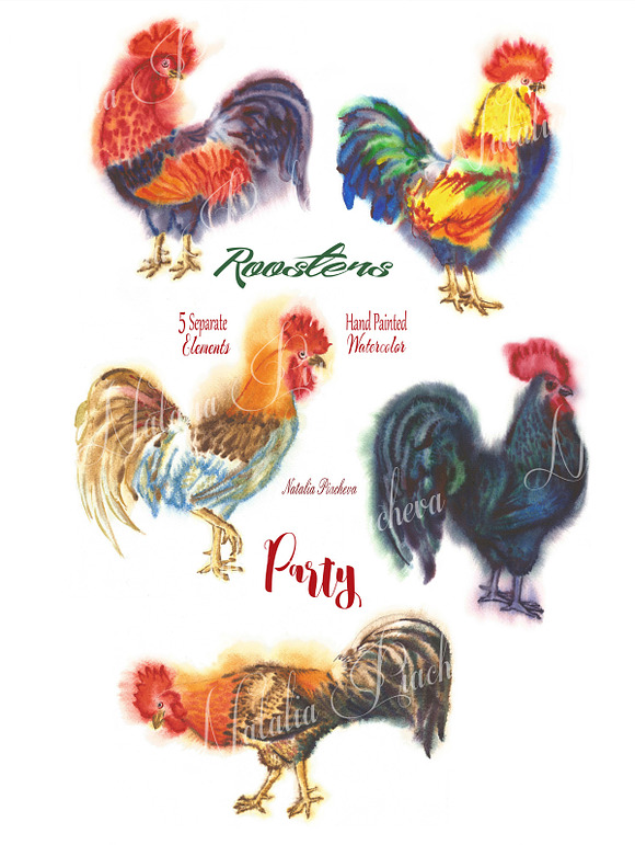 Watercolor Roosters  in Illustrations - product preview 1