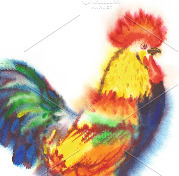 Watercolor Roosters  in Illustrations - product preview 2
