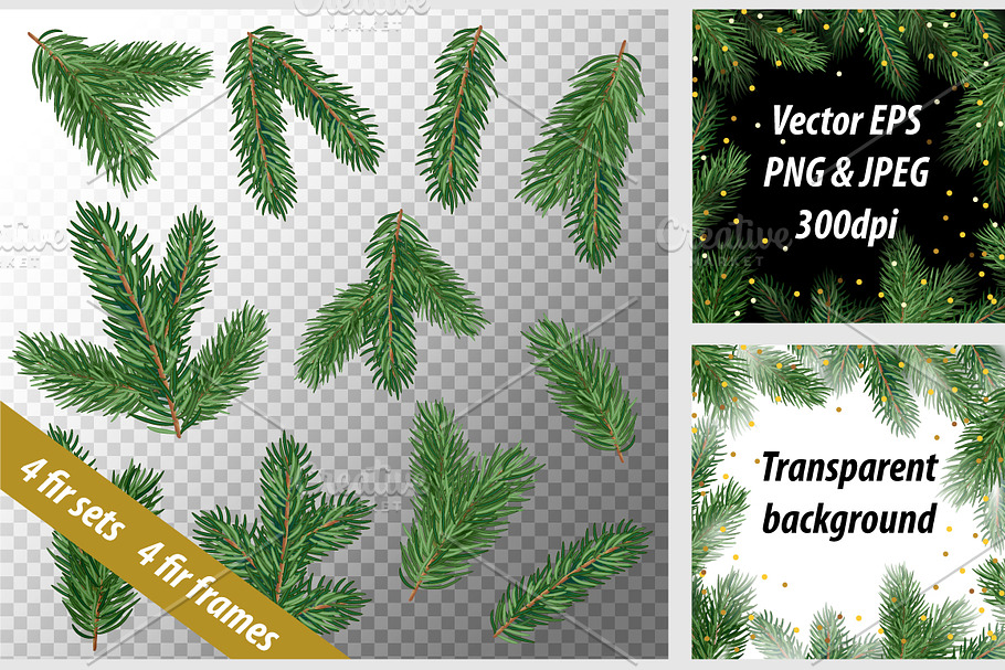 Fir tree branches vector set