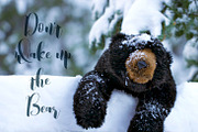 Don't wake up the bear!