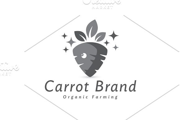 Healthy Carrot Logo in Logo Templates - product preview 2