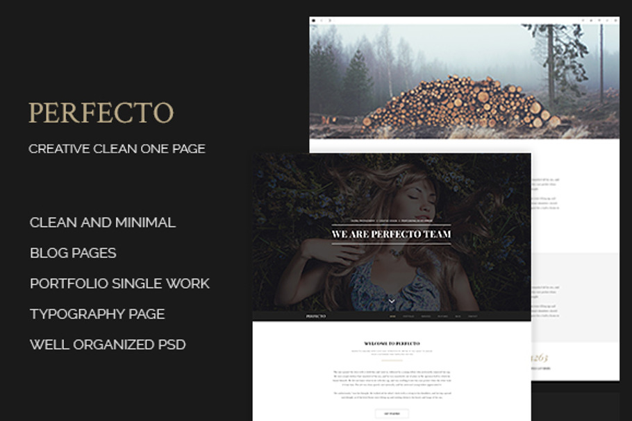 Perfecto - Creative Minimal Onepage in Landing Page Templates - product preview 8